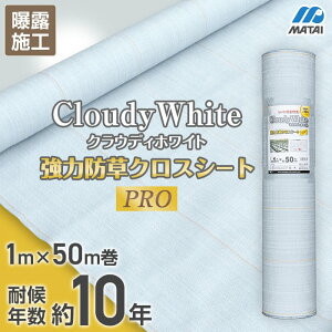 yhV[gz{}^C hV[g ͖hNXV[gPRO NEfBzCg 10N 1m×50m__ddhc10665