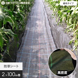 yhV[gz2m×100m AOV[g {ChNX BG1515__nwc-2-bg