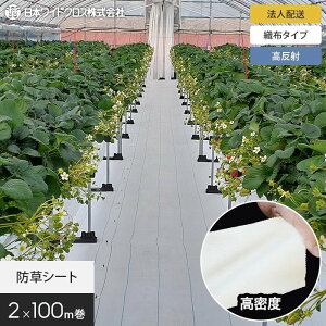 yhV[gzy@lElƎlpzhV[g 2m×100m AOV[g VCzCg {ChNX SW1515__nwc-2-c-sw