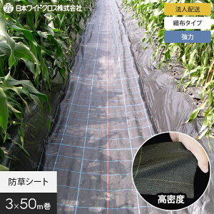 yhV[gzy@lElƎlpzhV[g 3m×50m ̓AOV[g {ChNX BB2218__nwc-3-c-kbb