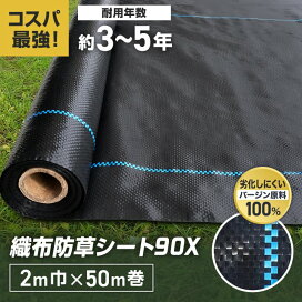 knbss-d2x50.jpg?fitin=272:272