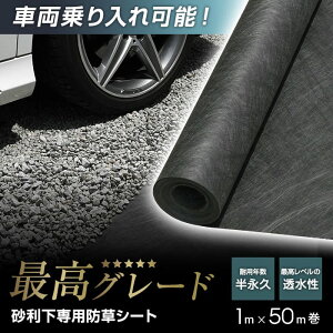 yhV[gzsDz p n[h^Cv iv 1m×50m O[__sgbss-j1x50