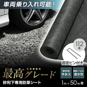 yhV[gzst sDz p n[h^Cv iv 1m×50m O[__sgbss-j1x50p