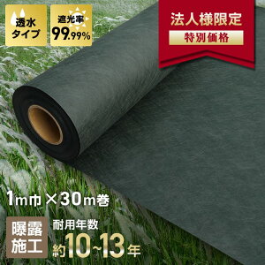 �y�h���V�[�g�z�y�@�l�E�l���Ǝ�l��p�z�s�D�z�h���V�[�g240SB 10�`15�N�ϗp 1m×30m�� ���ϋv ��__bss-240g1x30c