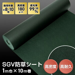 yhV[gz8`10Nϗp 1m×10m sDz SGVhV[g__bss-sgv-1-10p