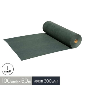 yhV[gzJY AhV[gT-1 1m×50m sDz 300g/ 1mm__t-1-1000