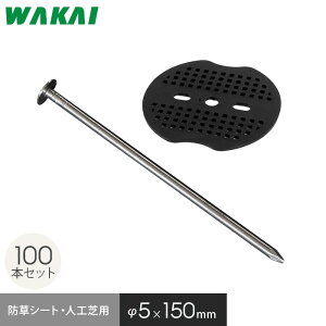 hV[g s 15cm B bV[t 100{Zbg s Œs__wapn-kg-100ft