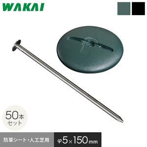 hV[g s 15cm B h[^bV[t 50{Zbg Œs*50DFT/50DBK__wapn-kg-