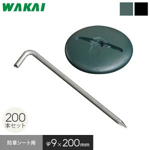 hV[g s 20cm L^AJ[s h[^bV[t 200{Zbg*200DFT/200DBK__wapn-l-