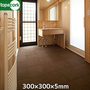 yRNzRN pRN^C oXR (hjEߎp 300X300X5mm(ʎj__ba-305