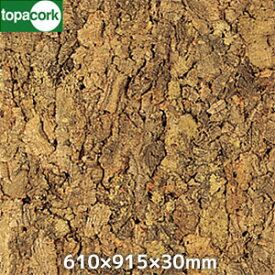 楽天市場 バージンコルクの通販