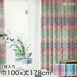 �y�J�[�e���z�X�~�m�G �f�B�Y�j�[ ���� �J�[�e�� PRINCESS Shell(�V�F��) ��100×��178cm*M-1173-M M-1174-M