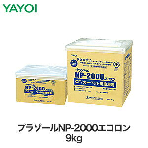 Cw NbVtAEJ[ybgp SnebNX`ڒ v][NP-2000GR 9kg 281-135__fk281-135