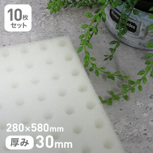 yE^ X|Wzk͔|pX|W ڂݗL^Cv 30mm 280×580mm 10Zbg__str-hypo-k