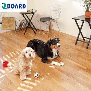 yt[Oށzt[O {[h BOARD ybgR[gtA[ i__pcf-01