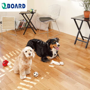 yt[Oށzt[O {[h BOARD ybgR[gtA[ TN__pcf-02