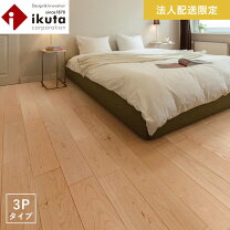 イクタ ラスティックの通販