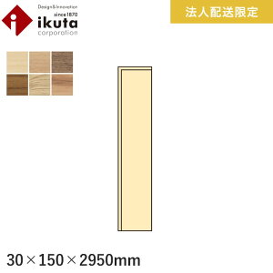 yyzy@lElƎlpzЖ CN^ ؃tA[VN 2950mm*IH9-M/IH9-IK