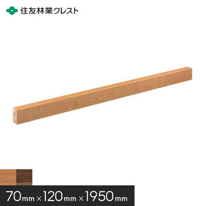 yyzZFыƃNXg V[hEXpy 6ځiԌ1950j`F[EEHibg*BB40CH-06 BB40WN-06