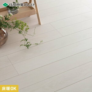 �y�t���[�����O�ށz�Z�F�ыƃN���X�g �x���b�V��CC �V�X�gS-J [���g] �I�[�N�z���C�g�� 1��__ff11hd-25t