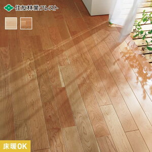 yt[OށzZFыƃNXg V[hEX CvE`F[ [g[Ή] 1*FFHB20MP-12A12N FFHB20CH-12A12N