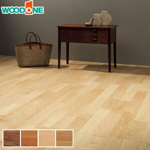 yt[Oށzt[O Ebh RrbgO[hvX101() [g[] 1*FKQ307D-9S-B/FKQ325D-9M-B