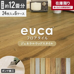 y݌ɌzytA^Czeuca WFlEbhstyle 12 6P[XZbg (20.04) *501 502 503 504 505 506 507 508 509 511 512__euca-12j-ft-b-