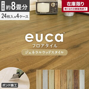 y݌ɌzytA^Czeuca WFlEbhstyle 8 4P[XZbg (13.36) *501 502 503 504 505 506 507 508 509 511 512__euca-8j-ft-b-