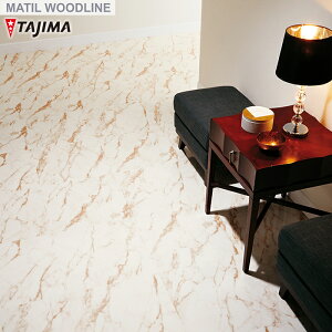 y@lElƎl͑zytA^Cz^W} MATIL 457.2×457.2×3.0mm ETCY 15 JJb^S[h__mbe-505