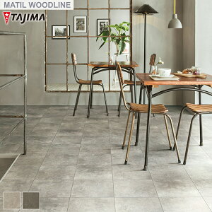 y@lElƎl͑zytA^Cz^W} MATIL ROSSO 304.8×304.8×3.0mm CTCY 32 eRb^*MCR-743 MCR-745