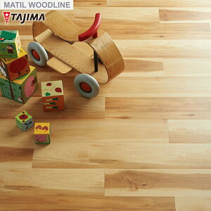 y@lElƎl͑zytA^Cz^W} WOODLINE 150×914.4×3.0mm HTCY 22 bv[v__wbh-383