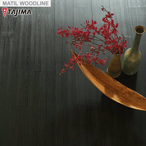 y@lElƎl͑zytA^Cz^W} WOODLINE 150×914.4×3.0mm HTCY 22 RN^__wbh-386