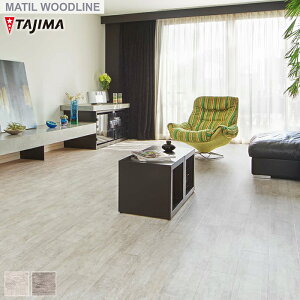 y@lElƎl͑zytA^Cz^W} WOODLINE 150×914.4×3.0mm HTCY 22 XuEbh*WBH-443 WBH-444