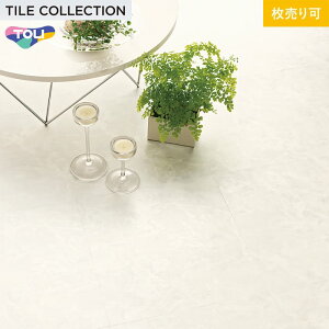 y@lElƎl͑zytA^Cz CXg[ NAIjbNX 450×450×3mm [1]__pst4106