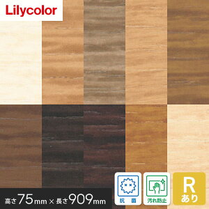 yЖ ؁z\tgЖ J 75mm×909mm 25 ؖ RA*HL70/HL79__mm-75-a-