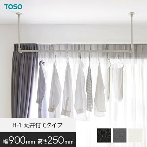 nMOo[ TOSO H-1 VtC^Cv W900×H250mm*16998/19680__hb-300
