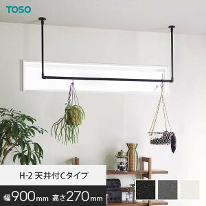 y1ISi|Cg2{znMOo[ TOSO H-2 VtC^Cv(yVnΉ) W900×H270mm*18345/19714__hb-300
