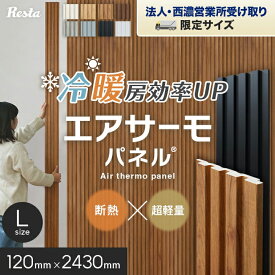 【法人配送】断熱 壁パネル エアサーモパネル 12×120×2430mm（L） 1枚*11/22__psp-m-243-a-p