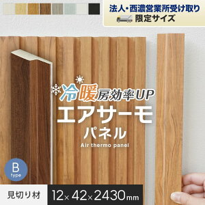 y@lzzfM ǃpl GAT[pl ؂B 42×12×2430mm*11/22__psp-u-243-a-p