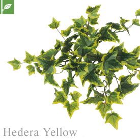 【壁面緑化】マグネット式壁面装飾 ぴたっとグリーン 人工植栽 ヘデライエロー__pg-004
