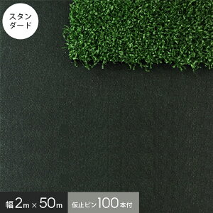 y1ISi|Cg2{zyUo[izhV[glHł̉nނɁI O[rX^ v V[g 136J(X^_[h^Cv) 2m×50m (vs100{t)__gv-136j20p