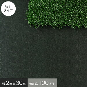 yUo[izhV[glHł̉nނɁI O[rX^ v V[g 240J(̓^Cv) 2m×30m (vs100{t)__gv-240j20p