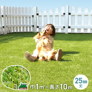 ylHŁz@\ԂɂI`LAlH [^[t 25mm i1m×10mj__mt25-0110