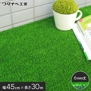 ylHŁz{plH {^tgŃ[^Cvi^ixHƁj45cm×30m WT-600__wt600-45-30