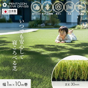 �y�l�H�Łz���[�� 1m×10m�� �ŏ�30mm �y���^�S���X�^�[�O���X__yjks-p-8000