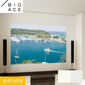 yǎzNX̂t VR[ BIGACE vWFN^[pNX 92.5cm BA7204EBA7205*BA7204/BA7205