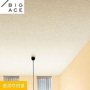 【壁紙】クロスのり付き シンコール BIGACE おすすめ天井 巾92.5cm BA7219__ba7219