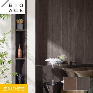 yǎzNX̂t VR[ BIGACE ؖڒ 92cm BA7269EBA7270*BA7269/BA7270