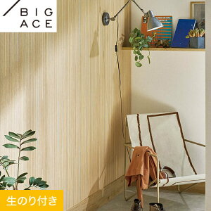 yǎzNX̂t VR[ BIGACE ؖڒ 92cm BA7271__ba7271