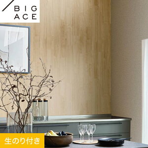 yǎzNX̂t VR[ BIGACE ؖڒ 92cm BA7275__ba7275
